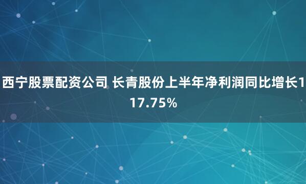 西宁股票配资公司 长青股份上半年净利润同比增长117.75%
