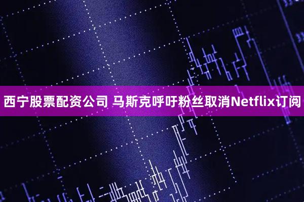西宁股票配资公司 马斯克呼吁粉丝取消Netflix订阅